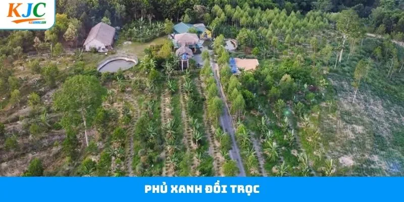 Phủ Xanh Đồi Trọc - KJC Chung Tay Vì Môi Trường Bền Vững