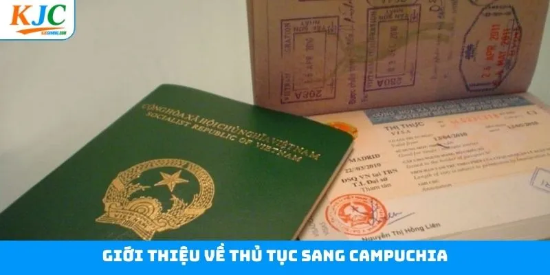 Tìm hiểu cụ thể về các thủ tục cần thực hiện 